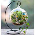 Plant Terrarium/Hanging Candle Holder, Round Baseg